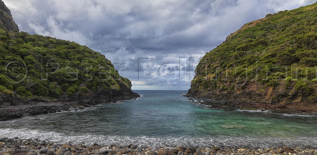 Peter Bellingham Photography The Gulch - Lord Howe Island - NSW T (PBH4 00 11726)